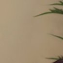 맘스외과성형외과의원 이미지