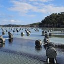 (주)명성통상