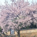 밀양향교 이미지