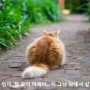 국민타워