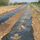 인영농장 이미지