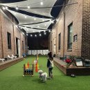 아이조아펫파크 동탄점 이미지