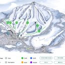 웰리힐리 스키장 이미지