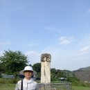 신용개 신도비 Daum카페
