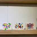 견고하개 이미지