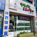 멍멍이랑 호호아줌마 네이버블로그