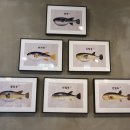 복어불고기&속시원한대구탕