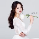 뷰티인아나 네이버블로그