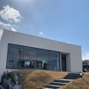 스몰커피 | 아산배방 카페 스몰타운커피 애견동반가능 내돈내산 후기
