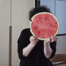 강동농협 산지유통센터 | 함안수박 저렴하게 구매한 함안농협농산물산지유통센터