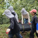 거전농장 이미지