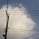 신일약국 이미지