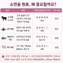 지성콘드로이친 효과 후기 소연골 함량 성분 차이 가격 최저가는?