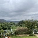 스테이 숲골 이미지