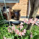 주물럭피크닉 이미지