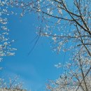 율촌초등학교상봉분교장 이미지