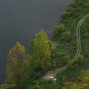 미루나무풍경 이미지