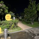 [야간]줌바댄스 이미지