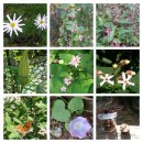 나경이네 이미지