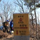 사니조아 이미지