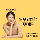 모이든가발