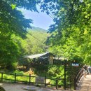 청수가든 이미지