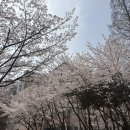 낭송으로만나는동양고전 | 무한 수식, 세계의 공식 우린 설명이 어려워