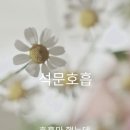도담(2)