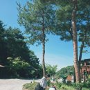 국립 대전 숲체원 방문 후기 🌲 회사 단체 프로그램으로 다녀왔어요!
