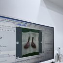 드림동물의료센터 이미지