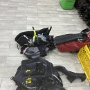 산타 크루즈 | 갈라파고스 산타크루즈 노스세이무어+모스께라 다이빙 후기