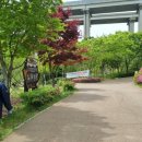 사라수변공원 이미지