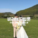 비러브드 | [W06.비러브드벌룬] 제주도 웨딩 스냅 풍선 업체, 유아오 연계 풍선 꽃다발
