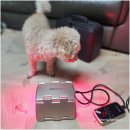 우리메디칼(주) | 염증 잡는 우리 집 주치의! 라파402알파, 가격 인상 전 마지막 찬스