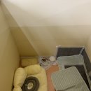 사천견생 이미지