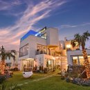 포포애견펜션 이미지