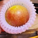 은혜농원 이미지