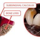 데이동물의료센터 이미지