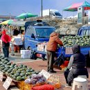 오일시장 체육공원 | 강원특별자치도 가볼 만한 전통시장 양양 오일장터