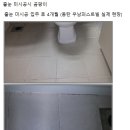 써니클린