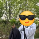 한평 | 초보 1평 텃밭 모종 1달 관찰 후기/3월4월 한평 상자텃밭/대파상추당귀딸기초보작물/데이트텃밭