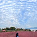 대성민물매운탕 이미지