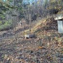 율곡천 3 이미지