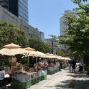 (주)콜렉션마켓 | 건대플리마켓🎪키덜트 취향 저격 키티, 산리오 소품샵 오픈