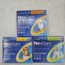 제신약국 이미지