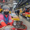 풍년꽃게 이미지