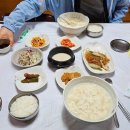 초당순두부 Daum카페