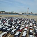 바다노선 이미지