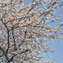 서호동-22 이미지