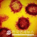 남동139 이미지